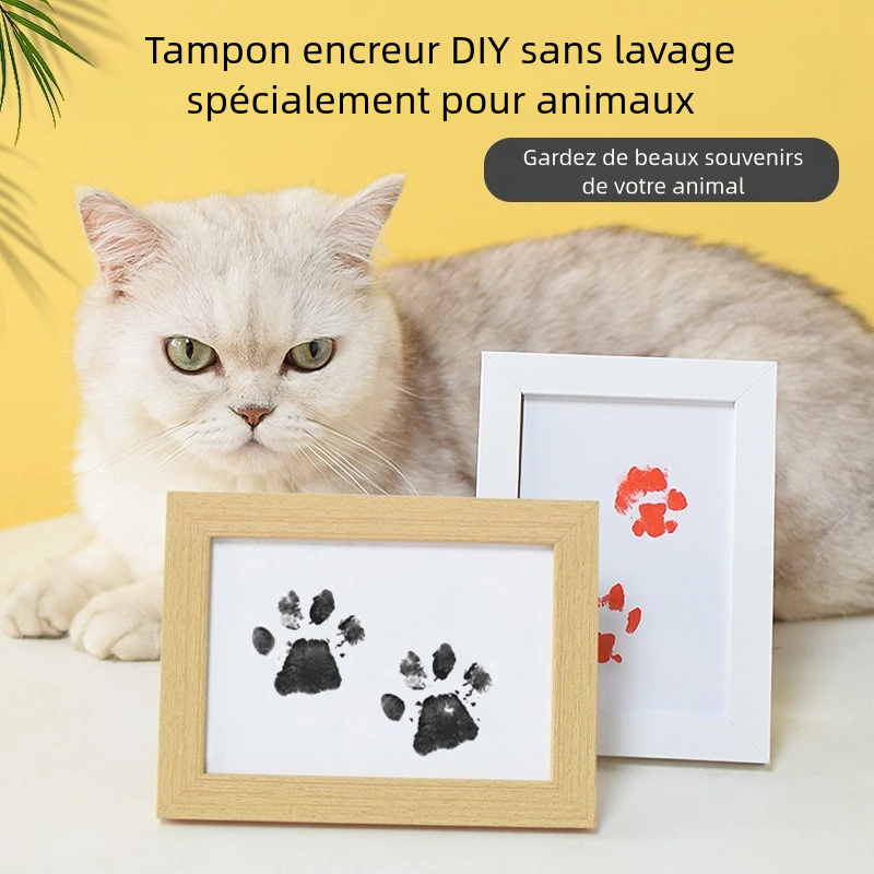 DIY Kit de Cadre d'Empreinte de Patte