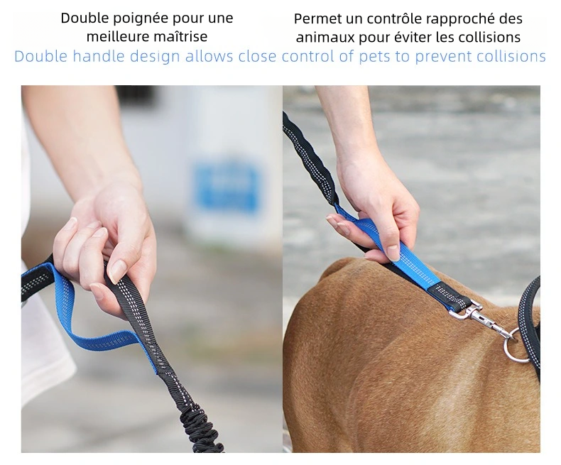 Ensemble de Laisse de Course Réfléchissante pour Chiens avec Ceinture