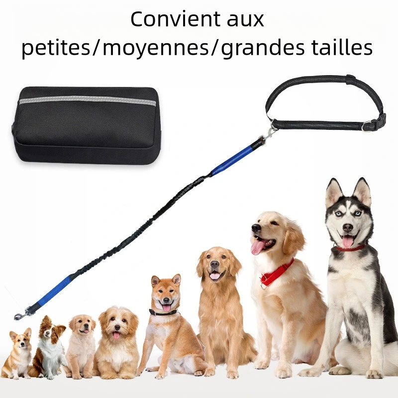 Ensemble de Laisse de Course Réfléchissante pour Chiens avec Ceinture