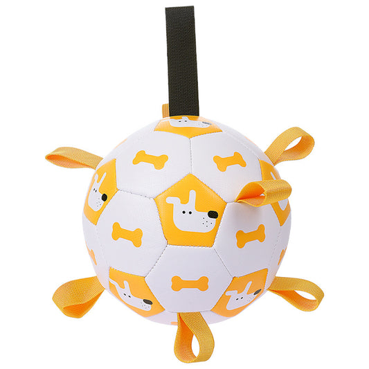 Ballon de Football pour Chiens